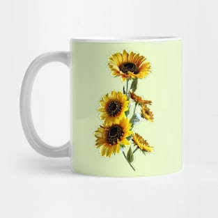 Sunflowers Looking Up Mug